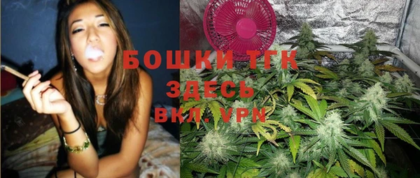 экстази Бежецк